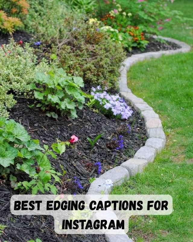 Best Edging Captions